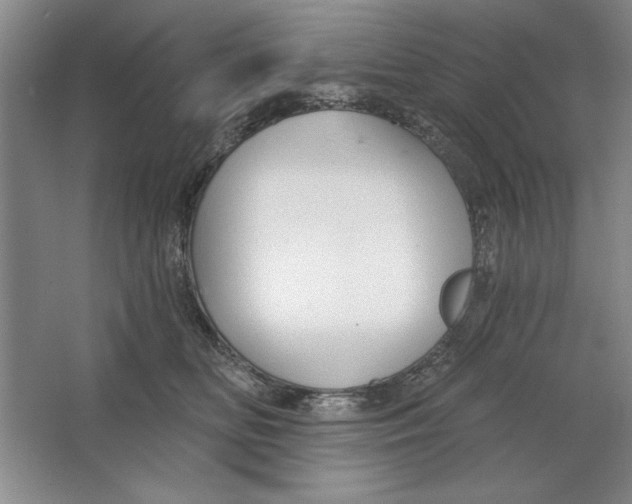 X0000064720518200603031619