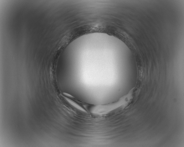 X0000064720520200603031619