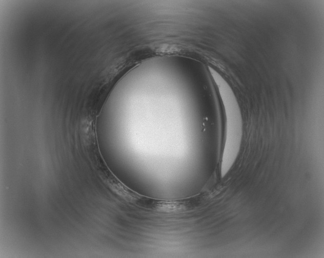 X0000064720521200603031619