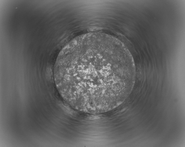 X0000064720523200603031619