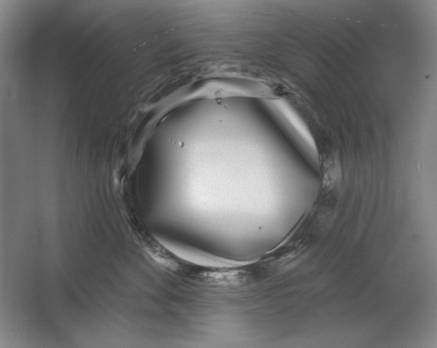 X0000064720524200603031619