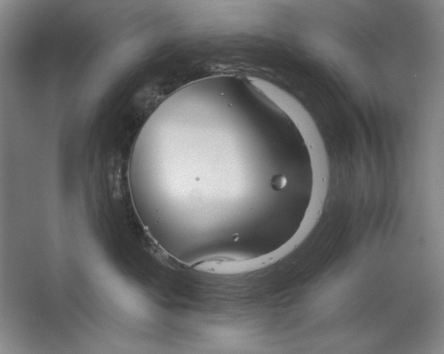 X0000064720525200603031619