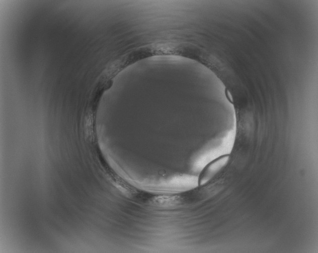 X0000064720526200603031619