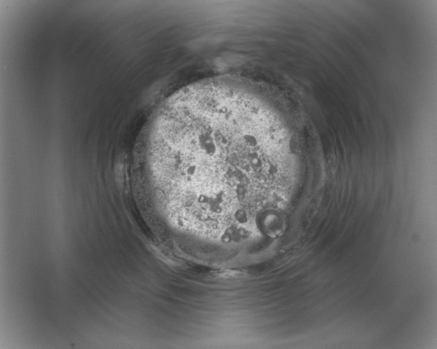 X0000064720527200603031619