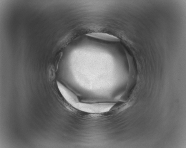 X0000064720528200603031619