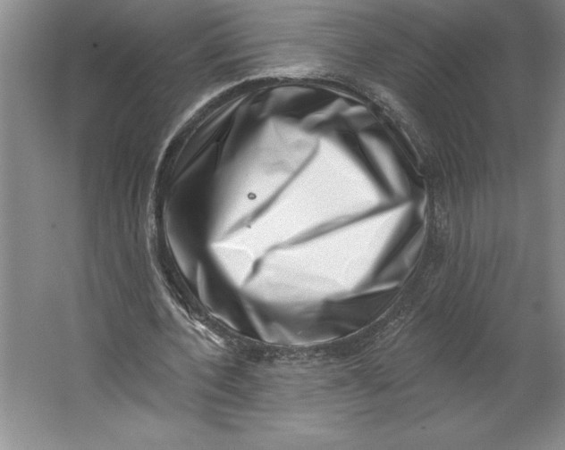 X0000064720532200603031618
