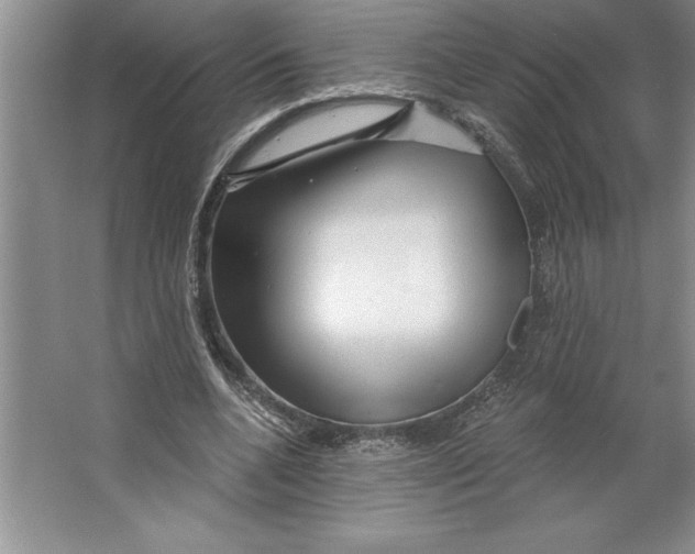 X0000064720536200603031618