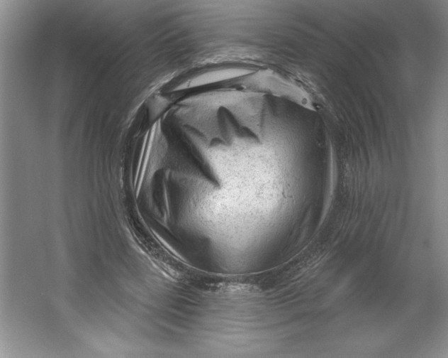 X0000064720539200603031618
