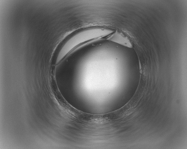 X0000064720540200603031618