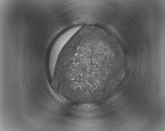 X0000064720542200603031618