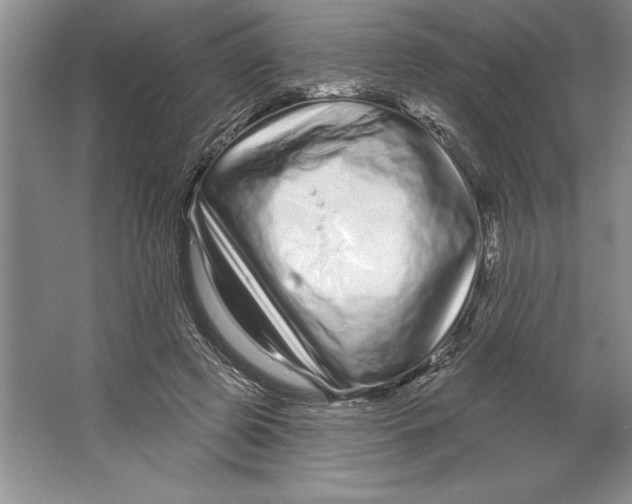 X0000064720545200603031618