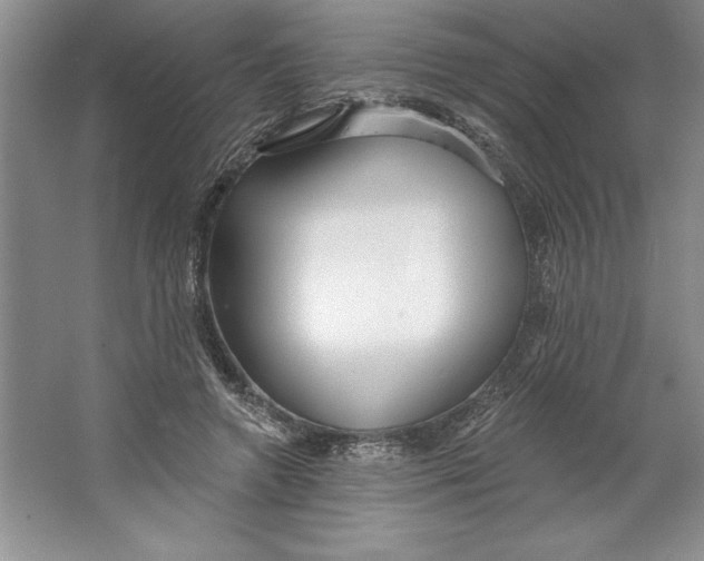 X0000064720546200603031618