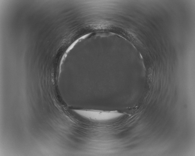 X0000064720547200603031618