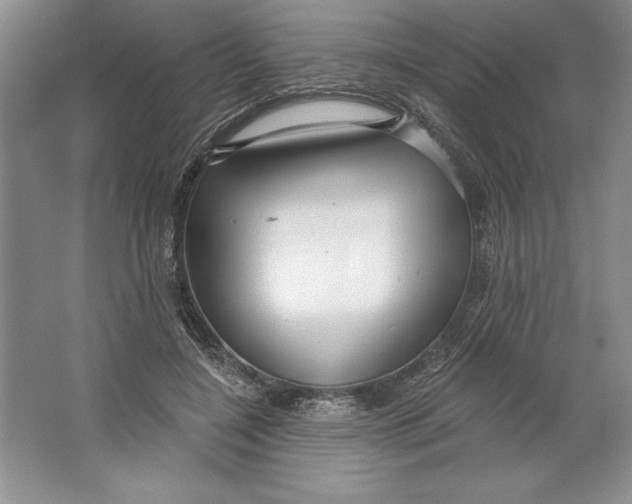 X0000064720548200603031618