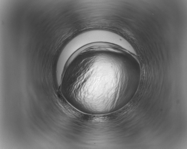 X0000064720550200603031618