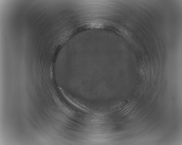 X0000064720551200603031618