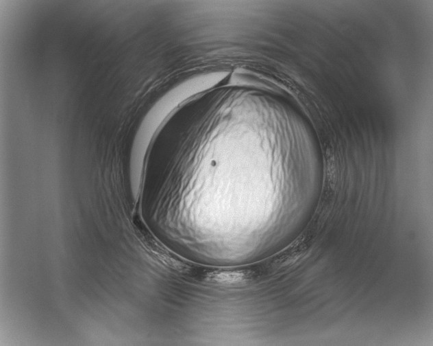 X0000064720554200603031618