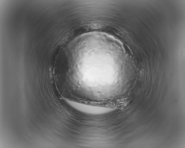 X0000064720555200603031618