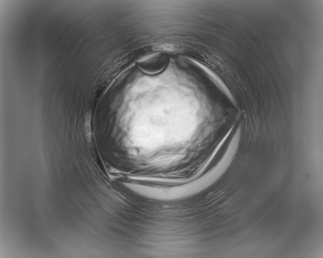 X0000064720557200603031618
