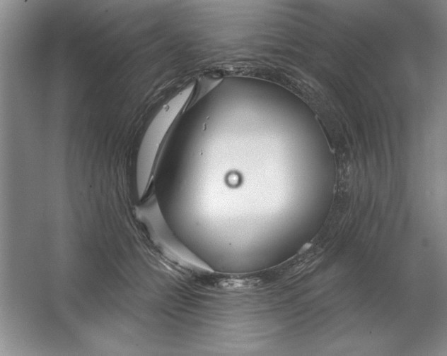 X0000064720558200603031618
