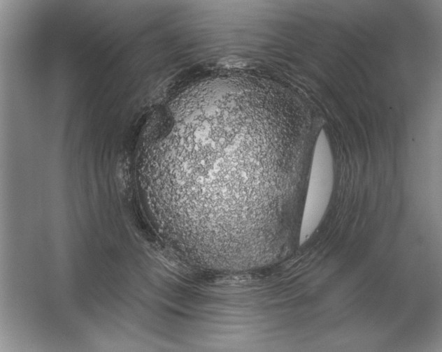 X0000064720559200603031618