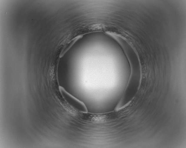 X0000064720560200603031618