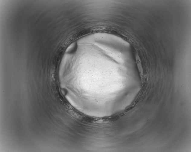 X0000064720561200603031618