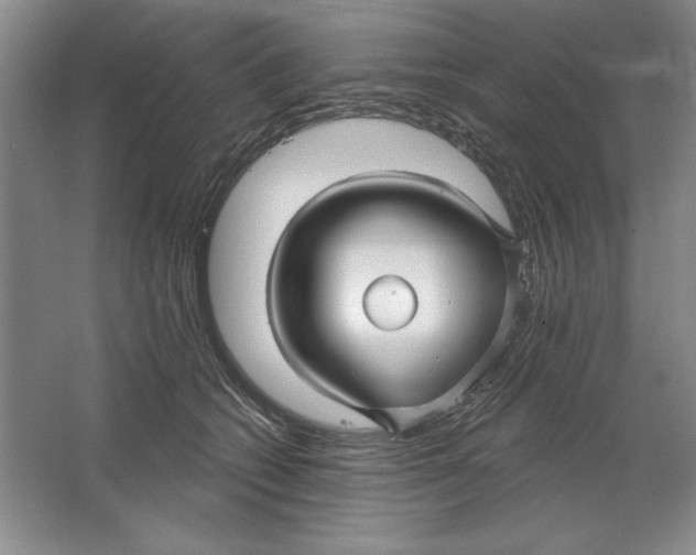 X0000064720562200603031618