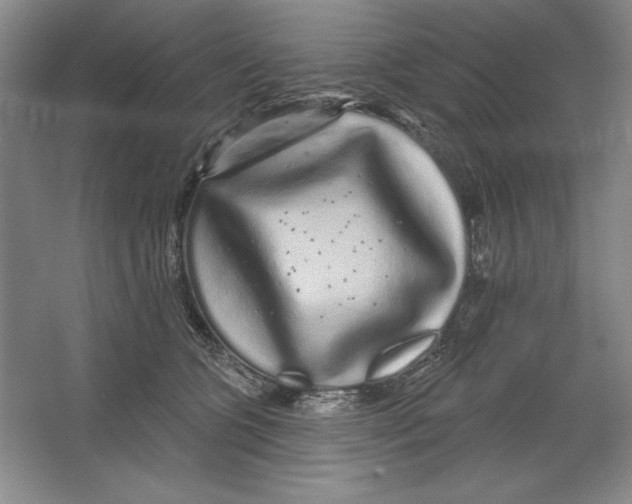 X0000064720563200603031619