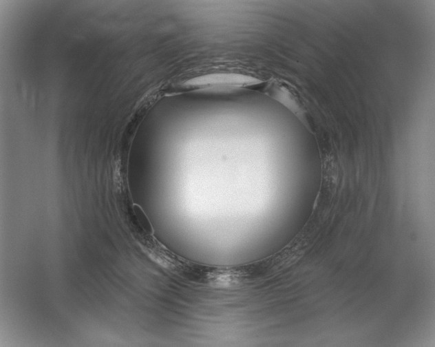 X0000064720564200603031619