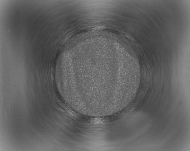 X0000064720565200603031619