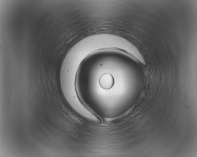 X0000064720566200603031619