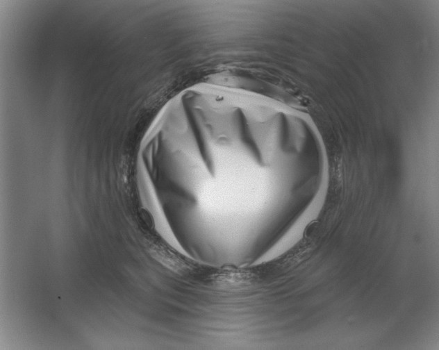 X0000064720567200603031619