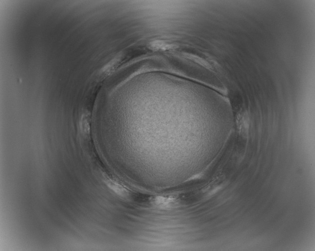 X0000064720570200603031619