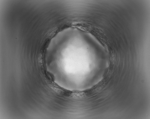 X0000064720571200603031619
