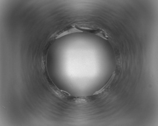 X0000064720572200603031619