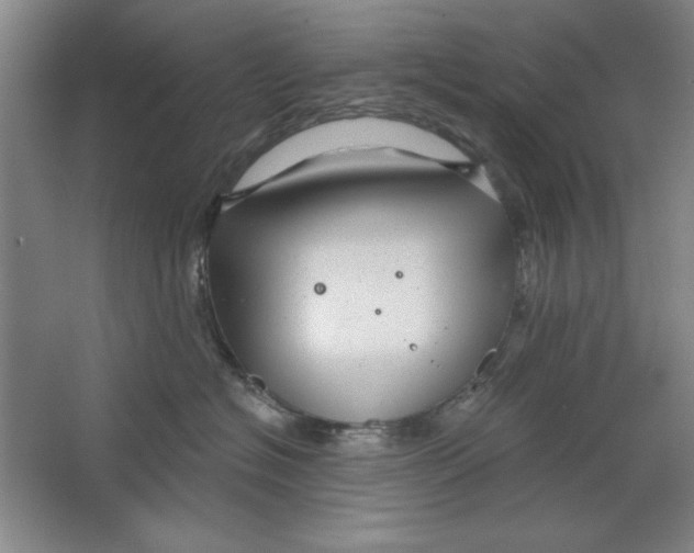 X0000064720574200603031619