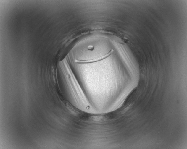 X0000064720575200603031619