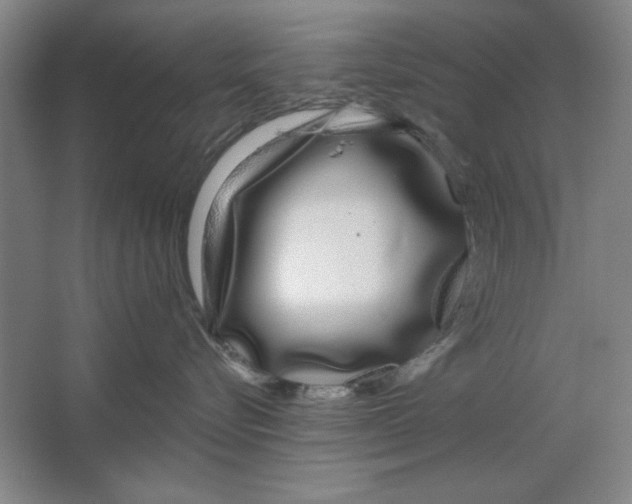 X0000064720576200603031619