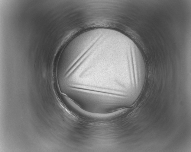 X0000064720578200603031618