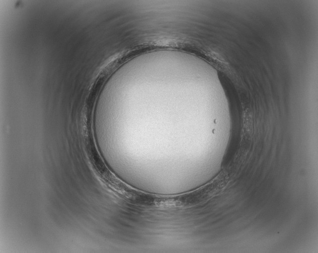 X0000064720587200603031618
