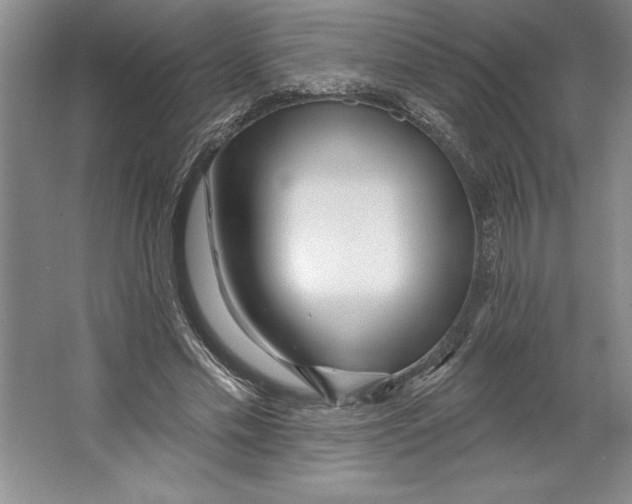 X0000064720589200603031618