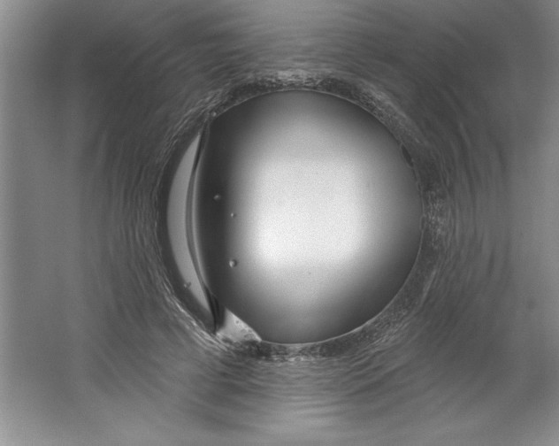 X0000064720593200603031618