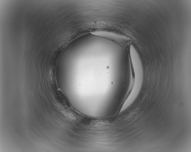 X0000064720597200603031618