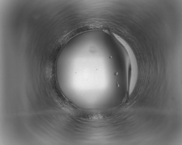 X0000064720600200603031618