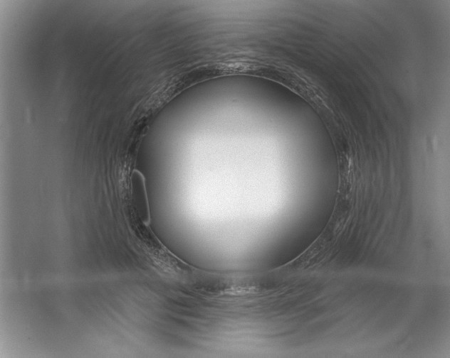 X0000064720601200603031618