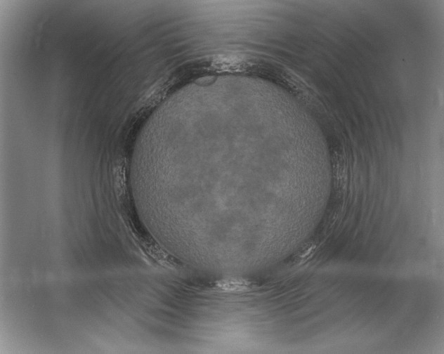 X0000064720603200603031617