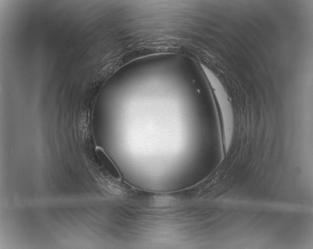 X0000064720605200603031617