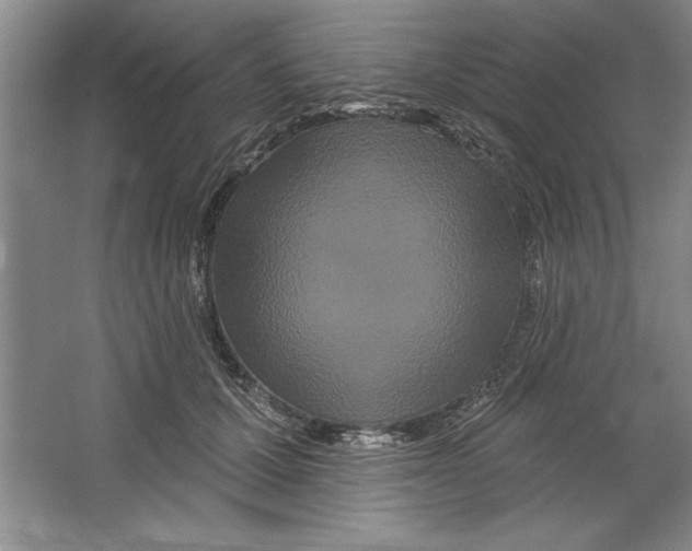 X0000064720607200603031617