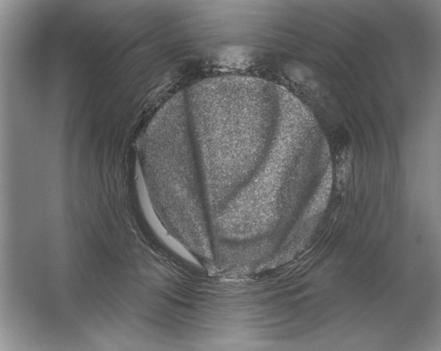 X0000064720608200603031617